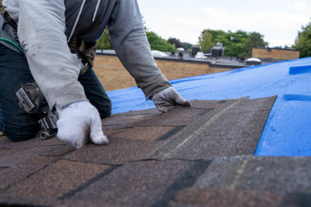 Best Storm Damage Roof Repair  in Marin City, CA